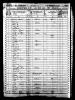 1850 United States Federal Census - Alfred Rascoe-1.jpeg