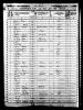 1850 United States Federal Census - David Roscoe.jpeg