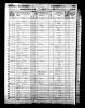 1850 United States Federal Census - Almira Roscoe.jpeg